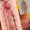 8-frequentie vibratie + intrekbare dildo, verwarmbaar, met extra bandjes